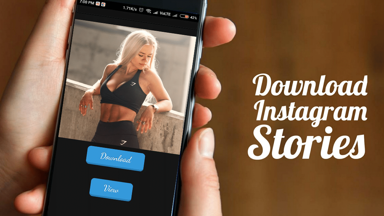 insta story downloader online