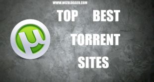 torrent sites